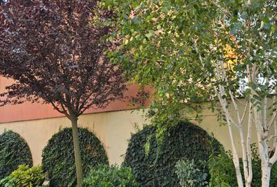 Casă individuală cu 6 camere cu Teren 600 Mp în Km 5 - 3