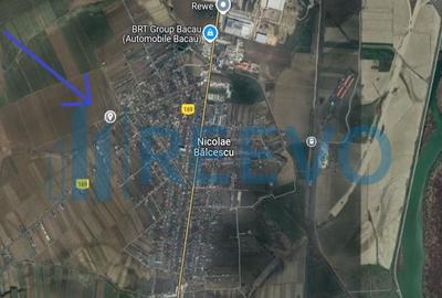 Teren de vânzare, Com. Nicolae Bălcescu, Jud. Bacău - 4