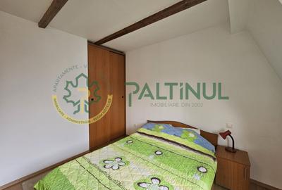 Apartament cu 3 camere decomandat, mobilat în Calea Dumbrăvii - 9