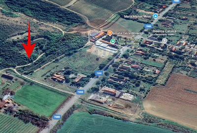 De vanzare teren 13,412mp Pauli? - 4