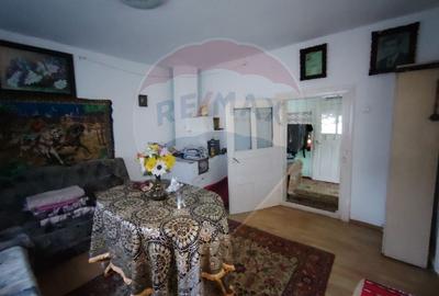 Casă cu 2 camere cu Teren 9287 Mp în Sunători - 8