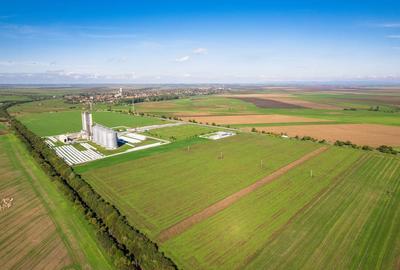Teren de 104000 mp, în Vinga - 7