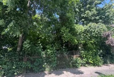 Teren de 4200 mp, în Rădăuți - 1
