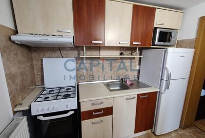 Vanzare garsoniera in cladire particulara, zona Campului - 5