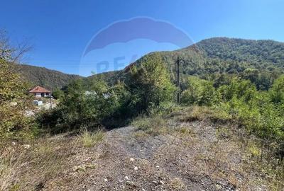 Teren de 702 mp, în Buru - 4