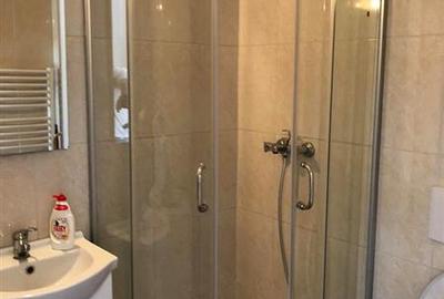 Apartament cu 2 camere semidecomandat, mobilat în Bună Ziua - 9