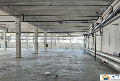 Spatiu industrial de inchiriat in Sibiu-Piata Cibin - 2