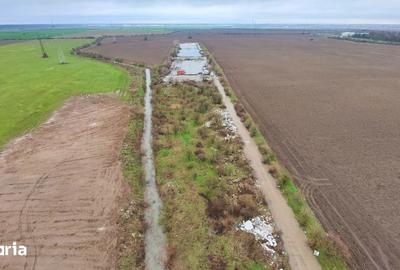 Teren de 10000 mp, în Găneasa - 11