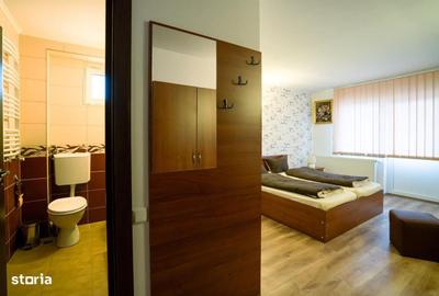 Spațiu comercial, de 400 mp, în Haieu - 10