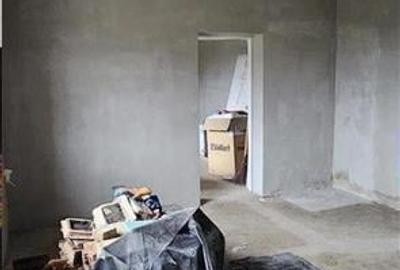 RECO. Casa la gri in Bors. - 5