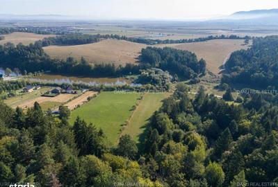 Spațiu comercial, în Vulcan - 14