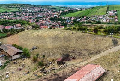 Teren de 2000 mp, deschidere la 2 strazi, Sura Mare |SkyVideo Teren de 2000 mp, deschidere la 2 strazi, Sura Mare |SkyVideo - 4