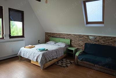 Spațiu comercial, de 400 mp, în Beliș - 10