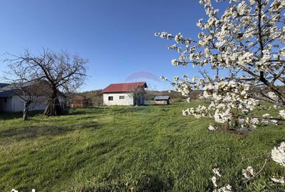 Casă cu 3 camere cu Teren 1000 Mp în Bradu - 17