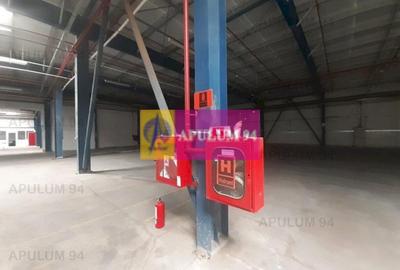 Spațiu industrial, de 4,850 mp, în 1 Decembrie - 52