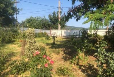 Casă cu 4 camere cu Teren 4330 Mp în Jariștea - 4
