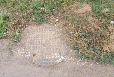 Teren de 700 mp, în Dragomirești-Vale - 2