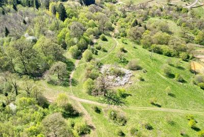 Teren Intravilan parcele 1000mp - 11