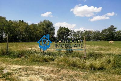TEREN EXTRAVILAN - ZONA ZAGAN, IN APROPIEREA FOSTULUI ABATOR - 10