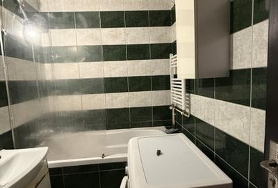 Apartament 1 camera, parter, zona Vivo Mall - 11