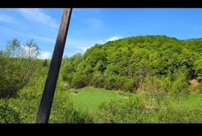 Teren de 928 mp, în Valea Inzelului - 6