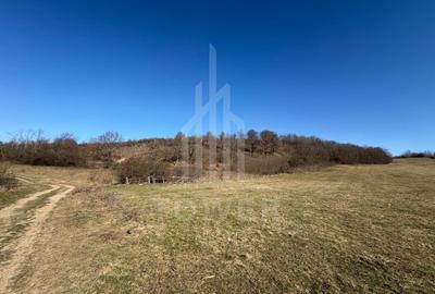 Teren agricol extravilan de 38000.0390625 mp, în Nord - 12