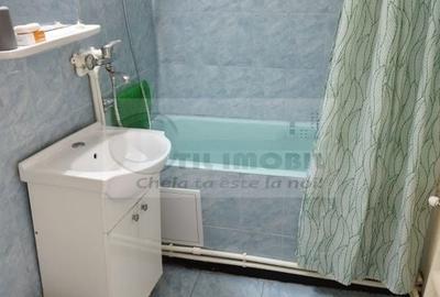 Apartament 2 Camere PIATA UNIRII - 500 euro - 17