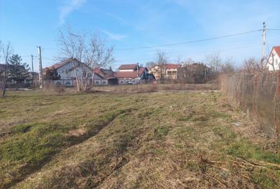 Teren Construcții intravilan de 1570 mp, în Mogoșoaia - 2