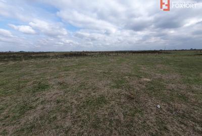 Teren Construcții intravilan de 1255 mp, în Giroc - 10