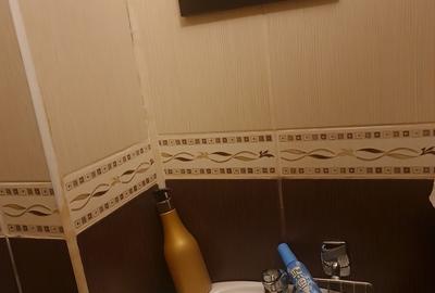 Apartament cu 2 camere decomandat în Baicului - 12