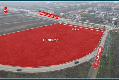 ORAS PANTELIMON-CERNICA 18.700 mp - intravilan - Proprietar - 1
