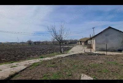 Casă cu 4 camere cu Teren 4276 Mp în Pecineaga - 6