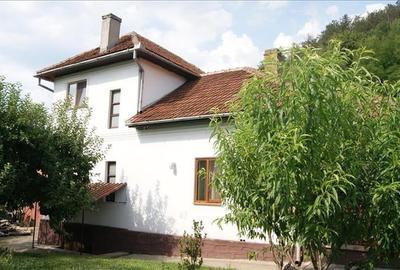 Casa deosebita si teren in Brad, Hunedoara - 5