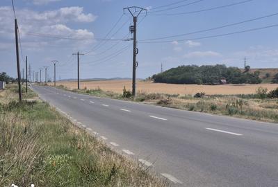 Teren de 7300 mp, în Vințu de Jos