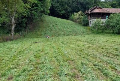 Teren de 2584 mp, în Fedeleșoiu - 3
