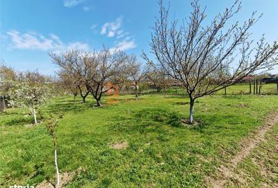 Casă cu 2 camere decomandat cu Teren 1983 Mp în Vernești - 12