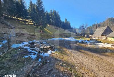 Teren de 2977 mp, în Scărișoara - 2