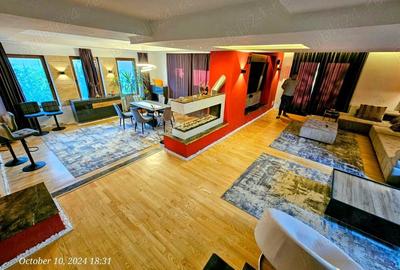 De inchiriat casa individuala la Remetea langa Timisoara - 2