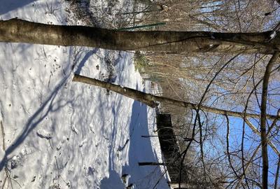 Casă cu Teren 2388 Mp în Fântânele - 4