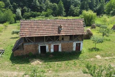 Teren de vanzare in comuna Cicane?ti, sat Bara?ti, Judet Arges. - 9