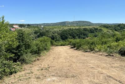 Teren Intravilan, Loturi 619 - 1124 mp, zona Verde, Visan - 2