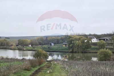 Teren de 129700 mp, în Iepurești - 2