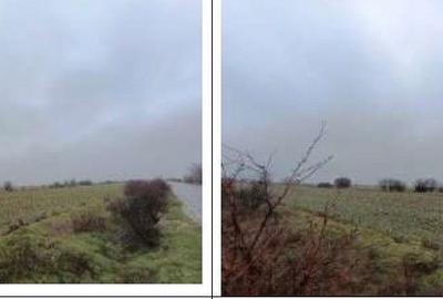 Teren de 6000 mp, în Ciocârlia - 2