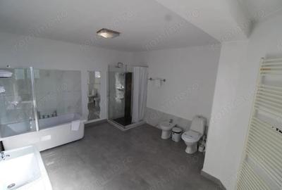 Cladire zona centrala, strada Jiului, Targu-Jiu - 5