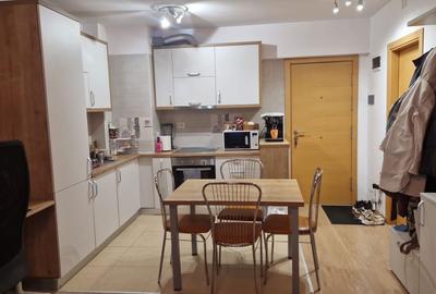 Apartament cu 2 camere semidecomandat în Dosu Bricii - 4