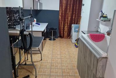 Spațiu comercial, de 30 mp, în Plantelor - 4