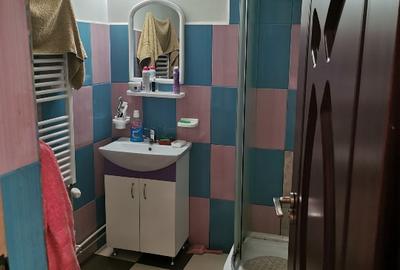 Casă individuală cu 3 camere cu Teren 4482 Mp în Hobița-Grădiște - 5