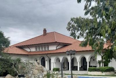 Domeniu  in Prahova- probabil una dintre cele mai frumoase reședințe - 2