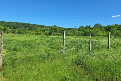 Casa de Vanzare Baiculesti Arges - 15