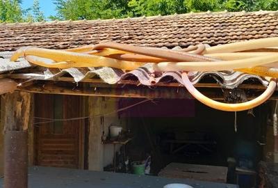 Movilita - vanzare casa 5 cam plus livada pe rod si teren 1800 mp - 60